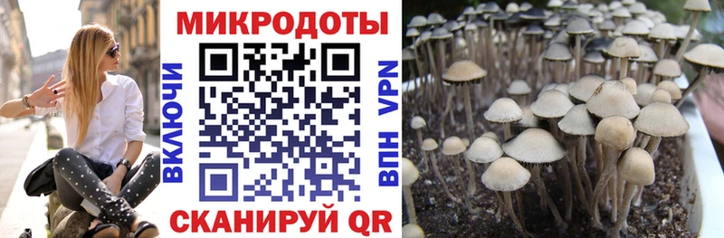 Галлюциногенные грибы Magic Shrooms  Купить где  Старый Оскол 